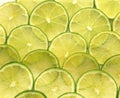 Slices of Green Lemon, citrus aurantifolia Royalty Free Stock Photo