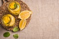 Slices and half fresh juicy lemon with mint leaves Royalty Free Stock Photo