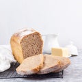 Slices of homemade no knead sandwich bread on cooling rack, square format Royalty Free Stock Photo