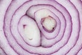 Slices Isolated onion. One red whole onion isolated on white background with clipping path and copy space. Red Onion slices bulbs Royalty Free Stock Photo