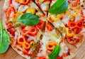 Slices of Italian Vegetarian Pizza Royalty Free Stock Photo