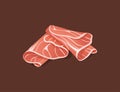 Slices of jamon in realistic style. Colorful vector illustration. Italian food illustration. Ideal for posters and