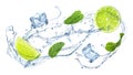 Slices of juicy lime, fresh mint and splashing cold water on white Royalty Free Stock Photo