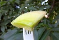 slices of a juicy melon Royalty Free Stock Photo