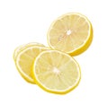 Slices of lemon