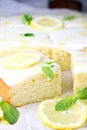 Slices of lemon cake Royalty Free Stock Photo
