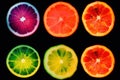 Slices of lemon, lime, orange and grapefruit . Royalty Free Stock Photo