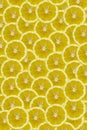 Slices of lemon with shadow on summer pattern evenly colored background