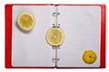 slices of lemon on the sheets of the notebook