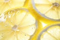 Slices of lemon in water with air bubbles Royalty Free Stock Photo