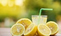 Slices of lemons with lemon juice on the table in nature.Copy Space