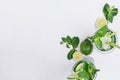 Slices lime, cucumber, leaves mint, ice and transparent cold drink on white wood plank, top view, copy space. Royalty Free Stock Photo