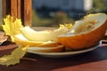 Slices of melon on a plate