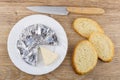 Slices of melted cheese in plate, pieces of bread