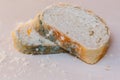 Slices of moldy bread on light background. Food not suitable for consumption Royalty Free Stock Photo
