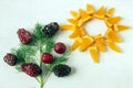 Slices of orange as a symbol of the sun on a white background. D