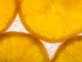 Slices of orange frozen in ice