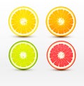 Slices of orange, grapefruit, lime , lemon isolated