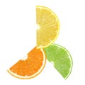 Slices of orange, lemon and lime fruits are located in a circle isolated on white background, with clipping path Royalty Free Stock Photo