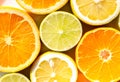Slices of oranges, lemons, limes and mandarins Royalty Free Stock Photo