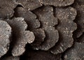 Slices of Perigord Truffe, tuber melanosporum Royalty Free Stock Photo