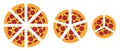 Slices of pizza of different sizes. Diagram infographics set. Cut into pieces. Vector illustration. Fast food.