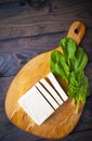 Slices of raw tofu and spinach Royalty Free Stock Photo