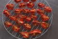 Slices of red tomatoes sun-dried arranged on round metal grid. Copy space. Close up Royalty Free Stock Photo