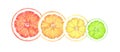 Slices of ripe citrus fruits isolated on white background. Hand drawn watercolor illustration of grapefruit, orange, lemon, lime . Royalty Free Stock Photo