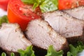 Slices of roasted duck meat fillet with vegetables macro Royalty Free Stock Photo