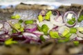 Slices of a salty herring with onions