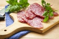 Slices sausage salami