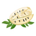 Slices soursop icon cartoon vector. Food fruit