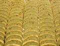 Slices of special bread made of rye flour and dried fr Royalty Free Stock Photo