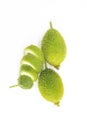 slices spiny gourd over on white background, top view