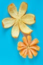 Slices tangerine or mandarin fruit in flower shaped cyan background