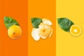 Slices of tangerine or orange. Fruit background. Flat lay, isolated on color background. Food background. Top view Royalty Free Stock Photo