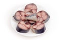 Slices of uncooked thawed chub mackerel on a white dish Royalty Free Stock Photo