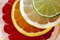 Slices of various citrus fruits as ingredients for the preparation of summer vitamin drink. Royalty Free Stock Photo