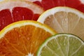 Slices of various citrus fruits as ingredients for the preparation of summer vitamin drink. Royalty Free Stock Photo