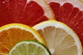 Slices of various citrus fruits as ingredients for the preparation of summer vitamin drink. Royalty Free Stock Photo