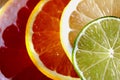 Slices of various citrus fruits as ingredients for the preparation of summer vitamin drink. Royalty Free Stock Photo