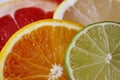 Slices of various citrus fruits as ingredients for the preparation of summer vitamin drink. Royalty Free Stock Photo