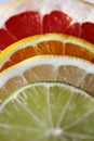 Slices of various citrus fruits as ingredients for the preparation of summer vitamin drink. Royalty Free Stock Photo