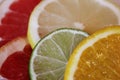 Slices of various citrus fruits as ingredients for the preparation of summer vitamin drink. Royalty Free Stock Photo