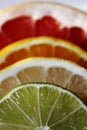 Slices of various citrus fruits as ingredients for the preparation of summer vitamin drink. Royalty Free Stock Photo