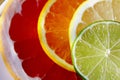 Slices of various citrus fruits as ingredients for the preparation of summer vitamin drink. Royalty Free Stock Photo