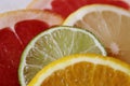 Slices of various citrus fruits as ingredients for the preparation of summer vitamin drink. Royalty Free Stock Photo