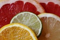 Slices of various citrus fruits as ingredients for the preparation of summer vitamin drink. Royalty Free Stock Photo