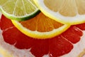 Slices of various citrus fruits as ingredients for the preparation of summer vitamin drink. Royalty Free Stock Photo